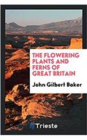 The Flowering Plants and Ferns of Great Britain