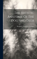 Artistic Anatomy Of The Dog And Deer