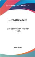 Der Salamander