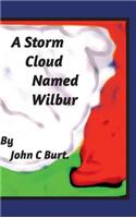 A Storm Cloud Named Wilbur