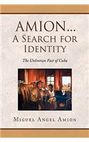 Amion...a Search for Identity: The Unkmown Fact of Cuba(English)