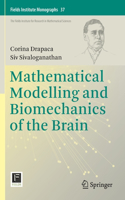 Mathematical Modelling and Biomechanics of the Brain: (37 Fields Institute Monographs)