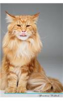 Maine Coon Cat Affirmations Workbook Maine Coon Cat Presents: Positive and Loving Affirmations Workbook. Includes: Mentoring Questions, Guidance, Supporting You.