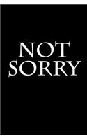 Not Sorry: Blank Lined Journal