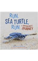 Run, Sea Turtle, Run