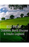 Big Print Diabetes Blood Sugar and Insulin Log