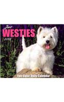 Just Westies Full Color Daily Calendar