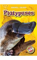Platypuses: (Animal Safari)