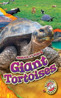 Giant Tortoises: (Animals at Risk)