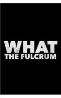 What The Fulcrum