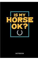 Is My Horse Ok? Notebook: Notebook for riders and horse fans