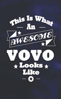 This Is What An Awesome Vovo Look Like
