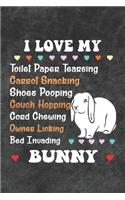 I Love My Bunny