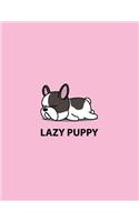 Laza puppy