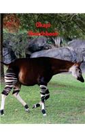 Okapi Sketchbook: (Sketchbook for Girls)