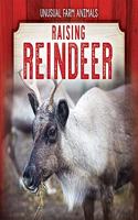 Raising Reindeer