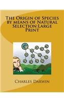 The Origin of Species by means of Natural Selection: Large Print