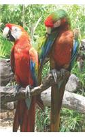 Parrot - Daily Diary 2019: A Diary for Important Observances and Multi-Faith Religious Dates and Moon Phases