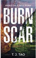 Burn Scar