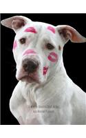 18 Months Undated Daily, Weekly and Monthly Planner: Non-Dated Planner Helps You to Stay Organized with Daily, Weekly and Monthly Tasks -- White Pit Bull Dog with Pink Lipstick