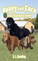 Honey and Coco find Shadow a home