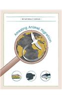 Amazing Animal Migrations