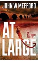 At Large (an Alex Troutt Thriller, Book 2)