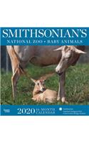 Smithsonian National Zoo 2020 Square Hachette