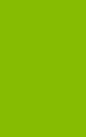 Lime Green 190 Combo Lined & Blank Notebook