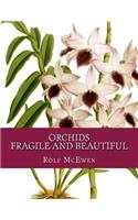 Orchids - Fragile and Beautiful
