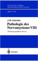 Pathologie Peripherer Nerven