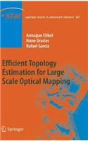 Efficient Topology Estimation for Large Scale Optical Mapping