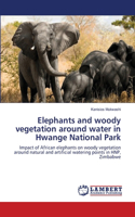 Elephants and woody vegetation around water in Hwange National Park