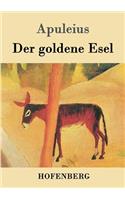 goldene Esel