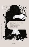 Desvelar el enigma de la psicosis: Fundamentos para una terapia analitica