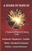 A Spark of Hope III
