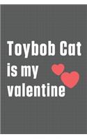 Toybob Cat is my valentine