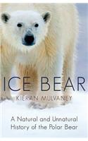 Ice Bear
