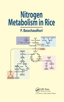 Nitrogen Metabolism in Rice