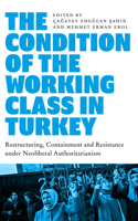 Condition of the Working Class in Turkey