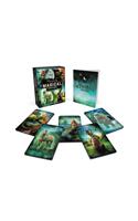 Morphing Magical Creatures: A Lenticular Magnet Set