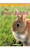 My Dwarf Rabbit