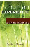 Human Experience