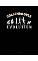 Goldendoodle Evolution