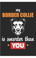 My Border Collie is smarter than you