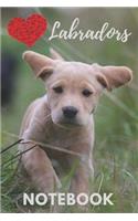 Labrador Notebook: cute labradors gift for children who love pets and puppies (blank lined notebook) young dogs notepad for girls / for writing notes and ideas for hom