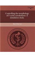 Controlling the Morphology of F-Actin Cytoskeleton: A Simulation Study