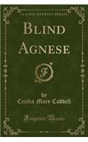 Blind Agnese (Classic Reprint)