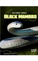 Black Mambas: (Edge Books)