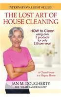 The Lost Art of House Cleaning